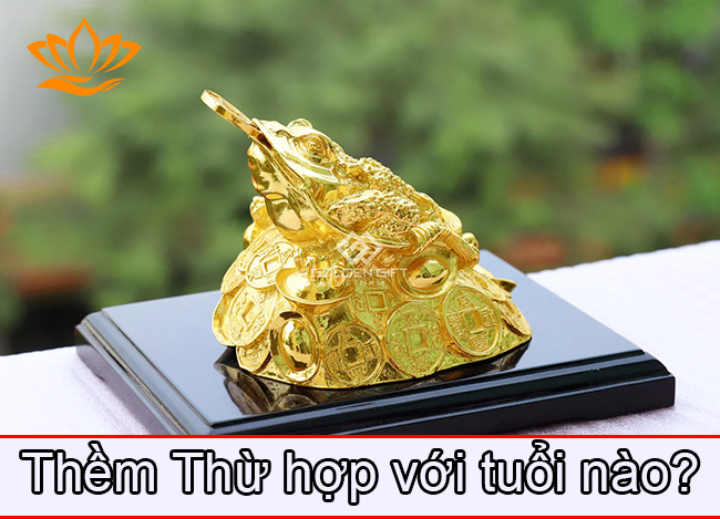 thiem thu hop voi tuoi nao? thiem thu hop voi tuoi nao?