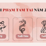 2024 tam tai tuoi nao