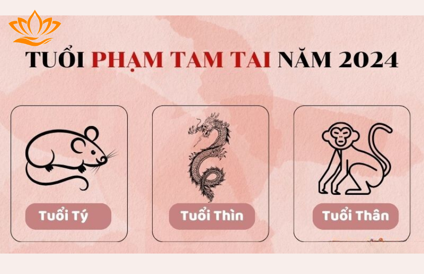 2024 Tam Tai Tuổi Nào? Cách Giải Hạn Tam Tai Cho Thân Tý Thìn
