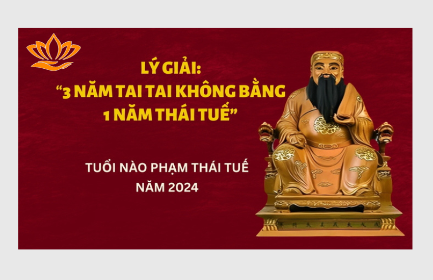 3 nam tam tai khong bang 1 nam thai tue