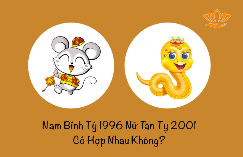 Chong 1996 vo 2001 co hop khong