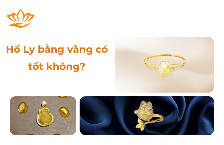 Ho Ly bang vang co tot khong