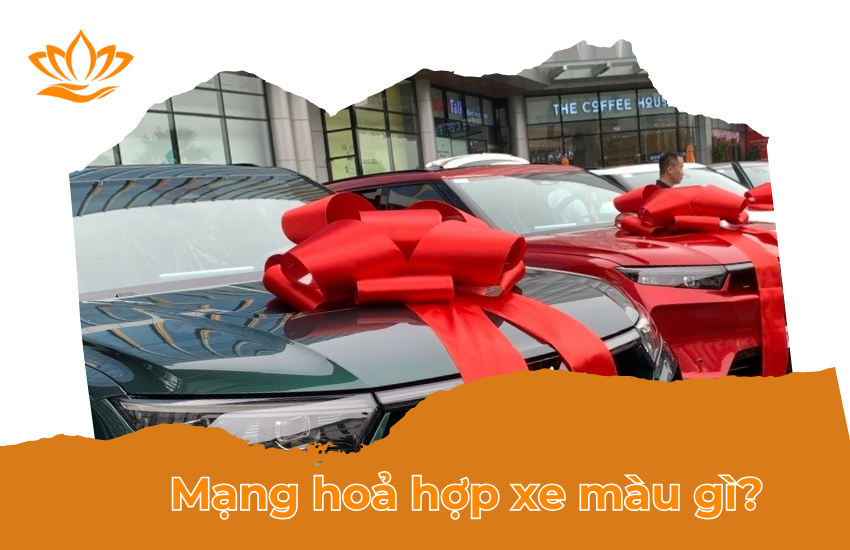 Mang hoa hop xe mau gi