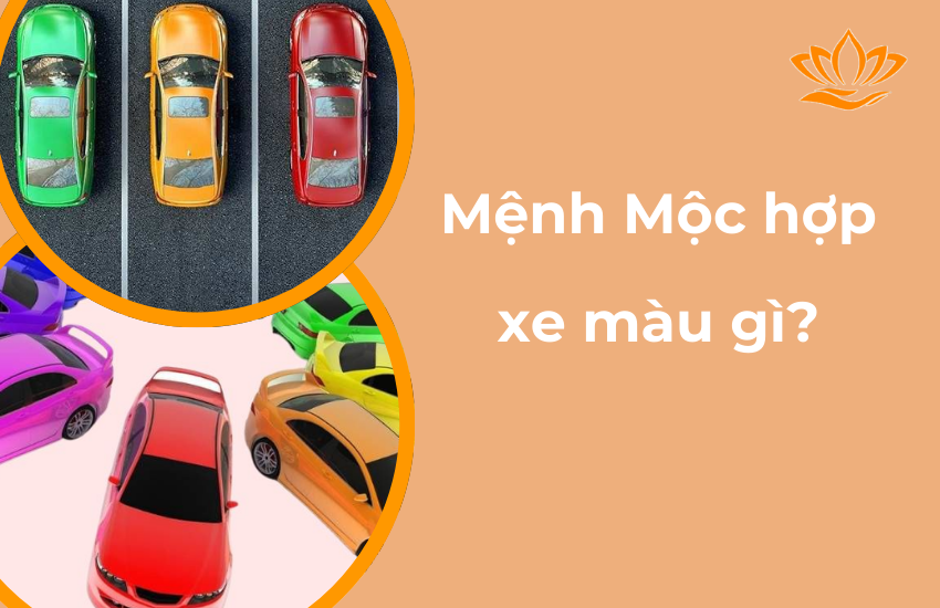 Mệnh Mộc hợp xe màu gì? Lợi ích khi mua xe màu phong thuỷ