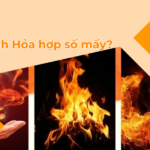 Menh Hoa hop so may