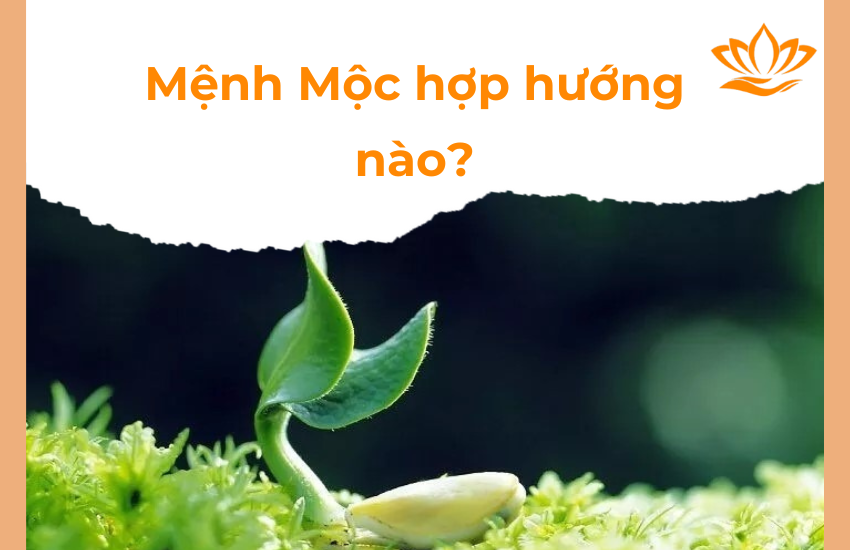 Menh Moc hop huong nao