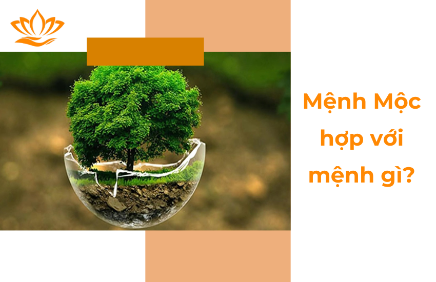 Menh Moc hop voi menh gi