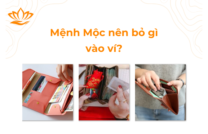 Menh Moc nen bo gi vao vi