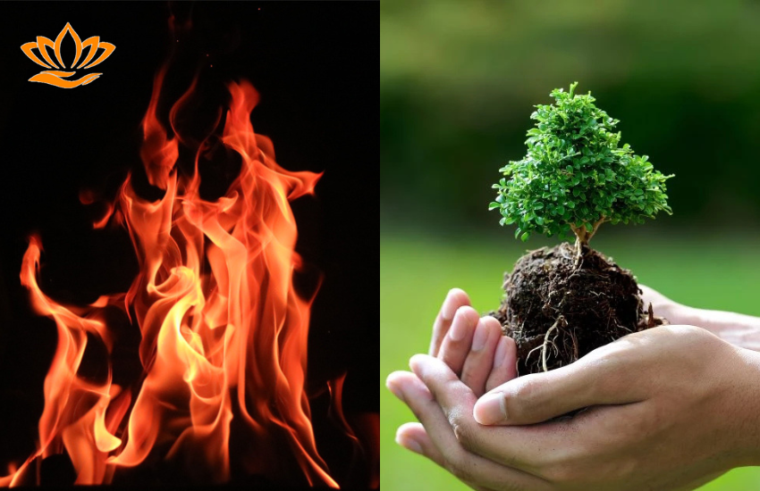 Menh Moc va menh Hoa co hop nhau khong