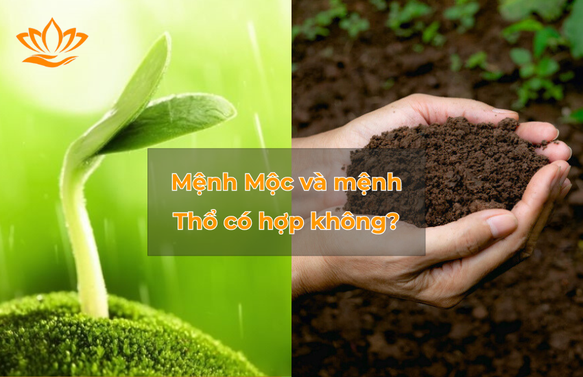 Menh Moc va menh Tho co hop khong