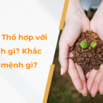 Menh Tho hop voi menh gi