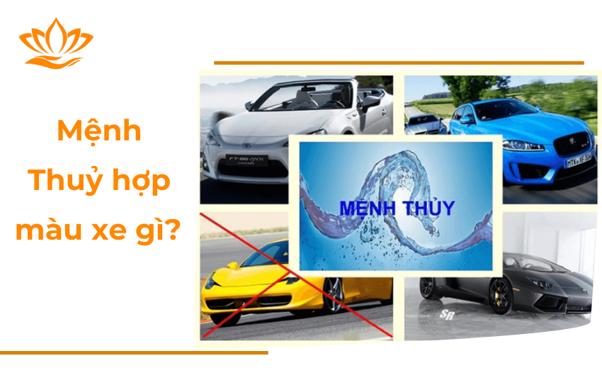 Menh Thuy hop mau xe gi