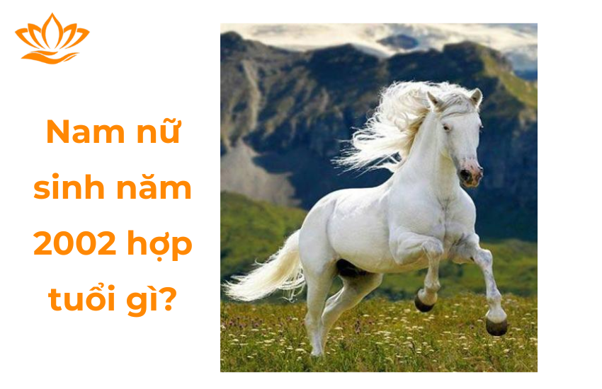 Nam nữ sinh năm 2002 hợp tuổi gì? Mệnh gì?