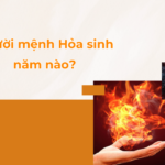 Nguoi menh Hoa sinh nam nao