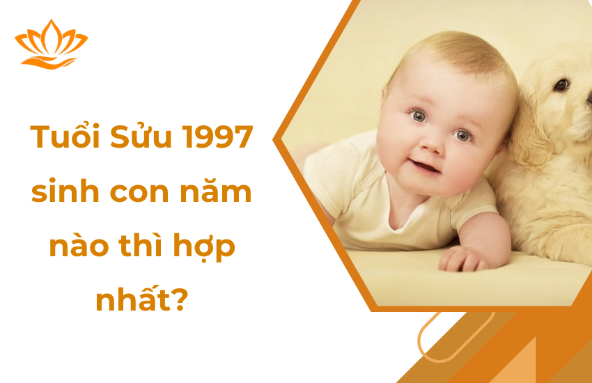 Tuổi Sửu 1997 sinh con năm nào thì hợp 2023 – 2030
