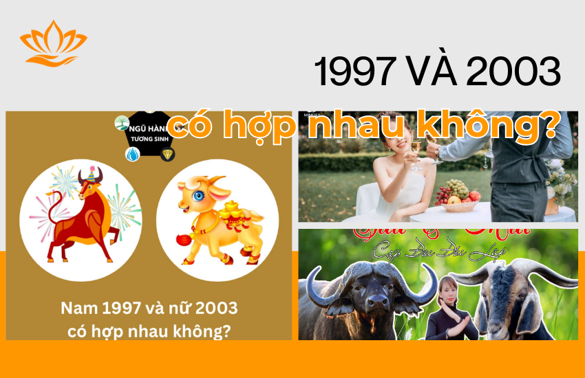 Tuoi Suu 1997 va tuoi Mui 2003