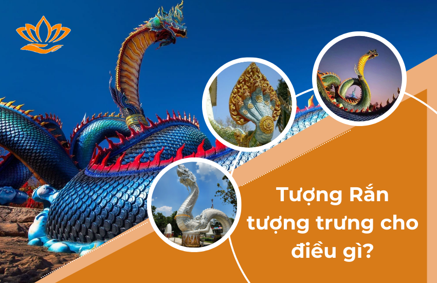 Tượng Rắn Có Ý Nghĩa Gì? Tượng Trưng Cho Điều Gì?