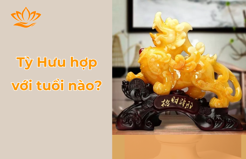 Ty Huu hop voi tuoi nao