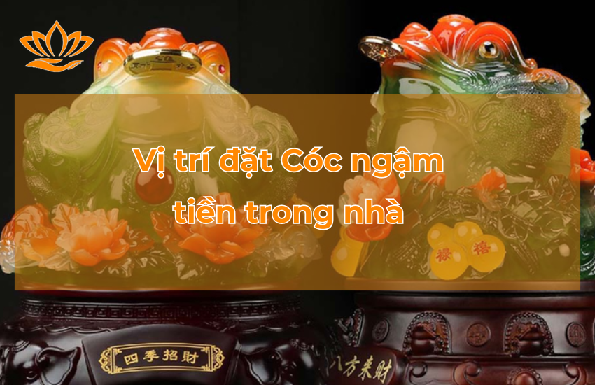Vị trí đặt Cóc ngậm tiền trong nhà mang lại nhiều tài lộc