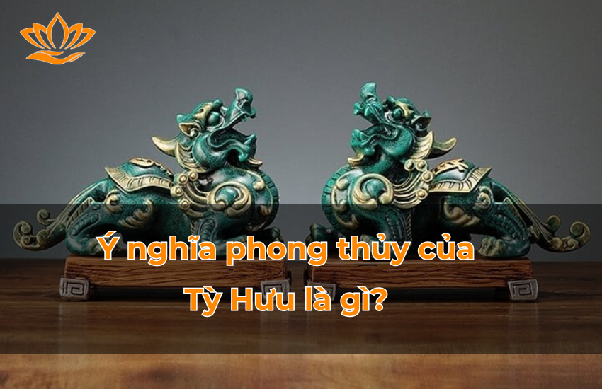 Y nghia phong thuy cua Ty huu