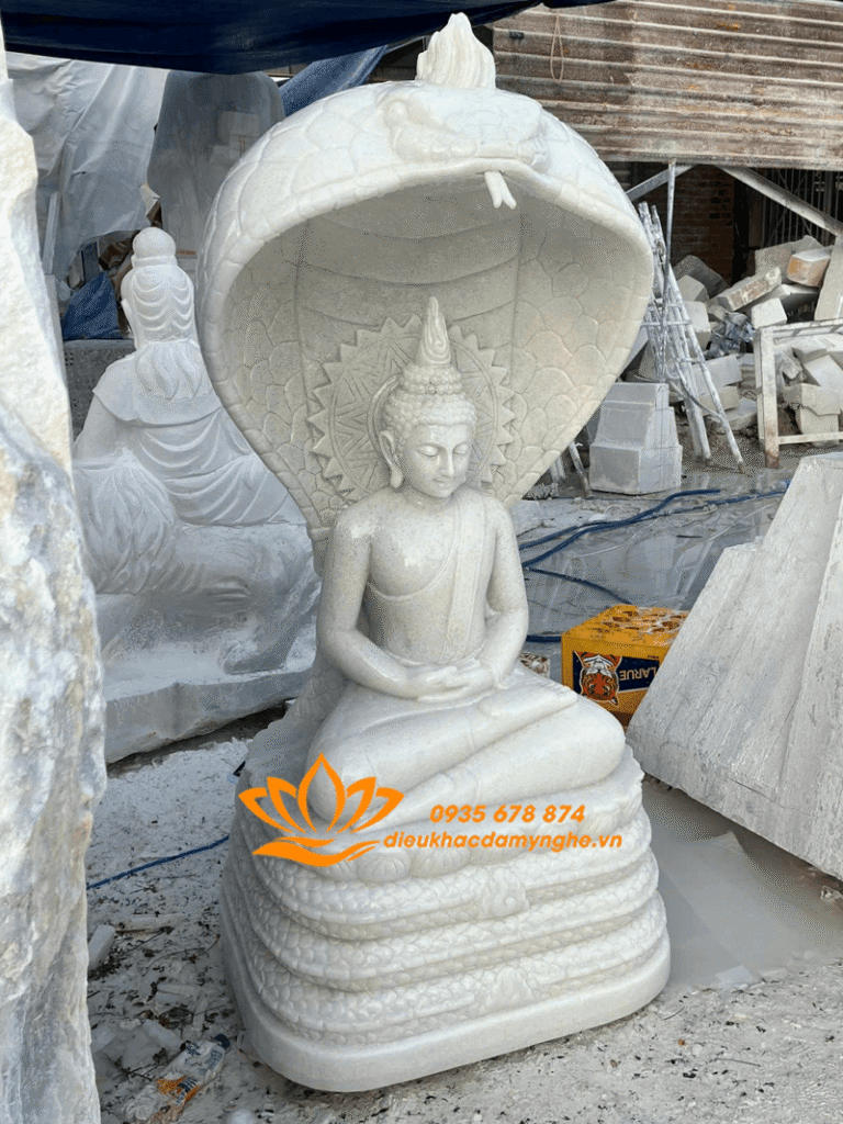 tuong thich ca nho trong nha