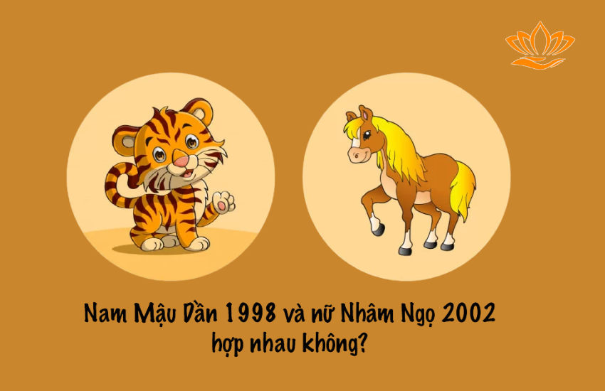 chong 1998 vo 2002 co hop nhau khong