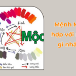 menh Moc hop voi mau gi nhat