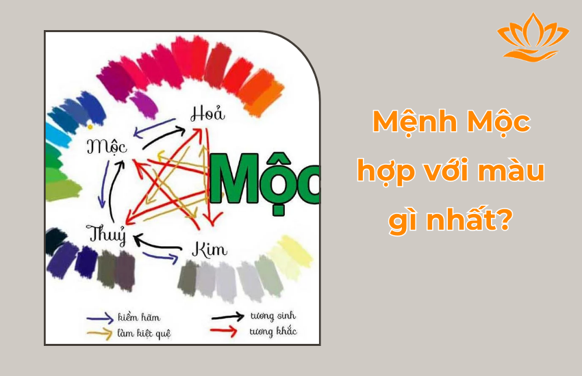 Mệnh Mộc hợp với màu gì nhất? Không hợp màu gì?