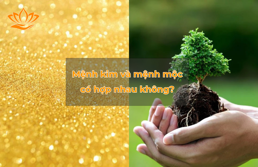 menh kim va menh moc co hop nhau khong
