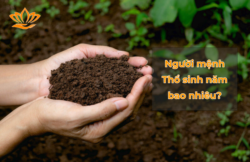 Những người mệnh Thổ sinh năm bao nhiêu? Tuổi gì?