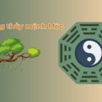 phong thuy cho menh Moc