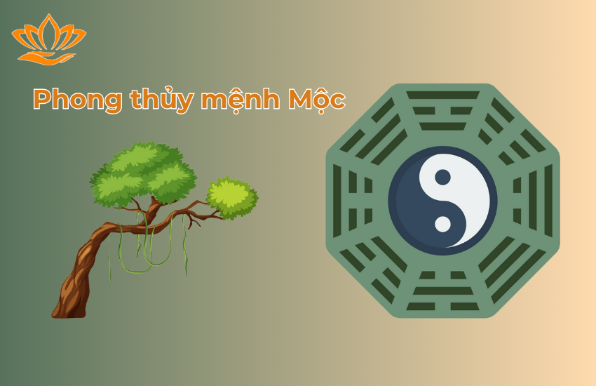 Giải Mã Phong Thuỷ Cho Mệnh Mộc Toàn Tập