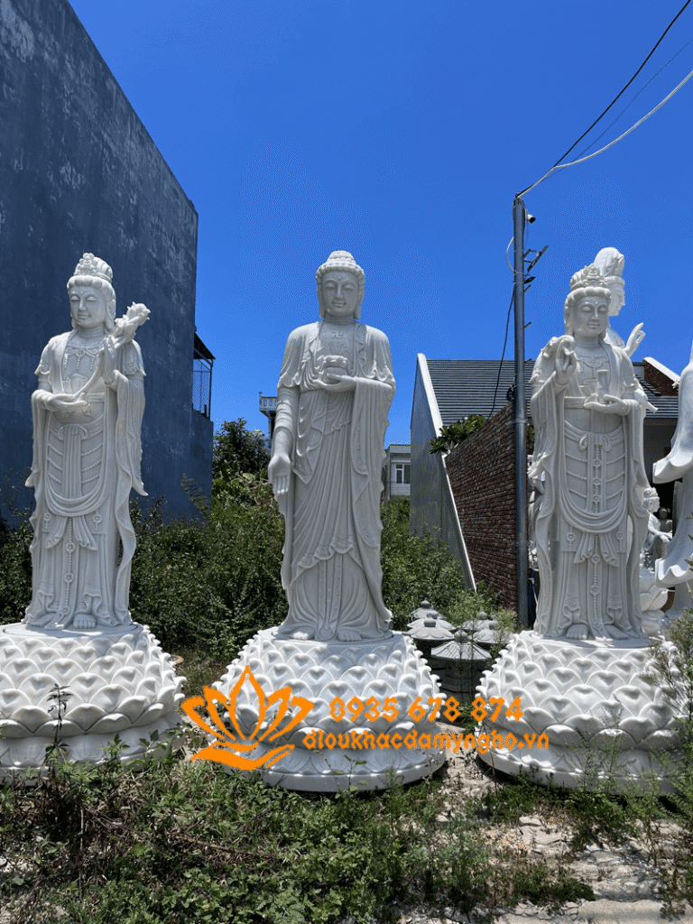 tuong tam the phat da tu nhien nguyen khoi